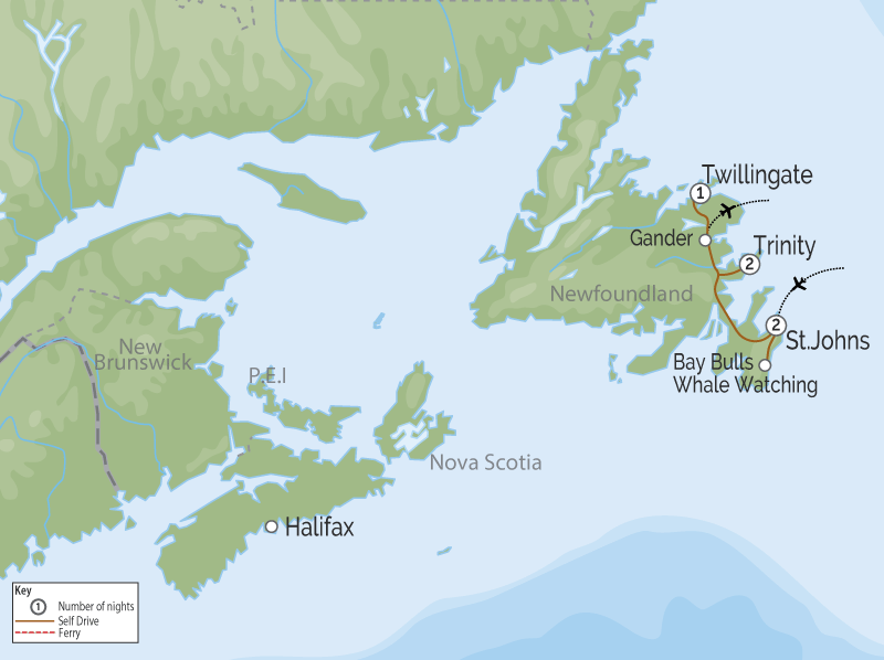 Iceberg Alley Newfoundland Road Trip map