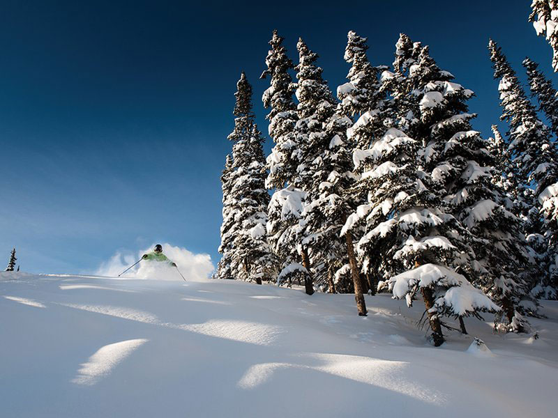 Jasper Ski Packages 7 Nights with 5 Day Ski Pass 4