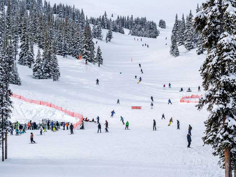 Jasper Ski Packages 7 Nights with 5 Day Ski Pass 6