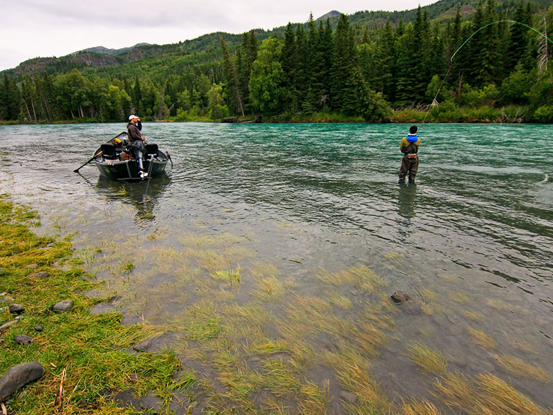 Kenai Riverside Fishing Lodge 8