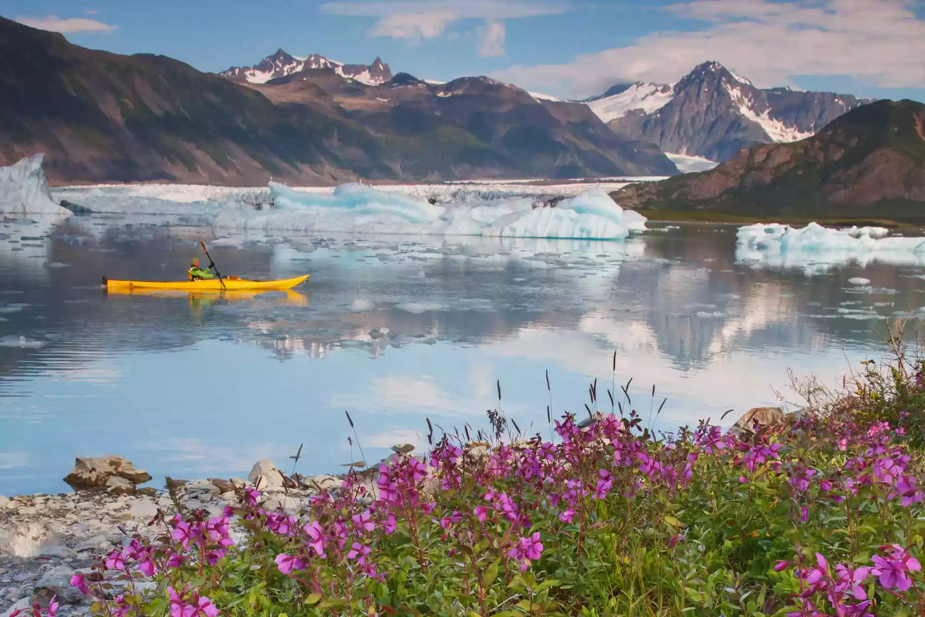 Kenai Fjords National Park Alaska | Cruises & Tours
