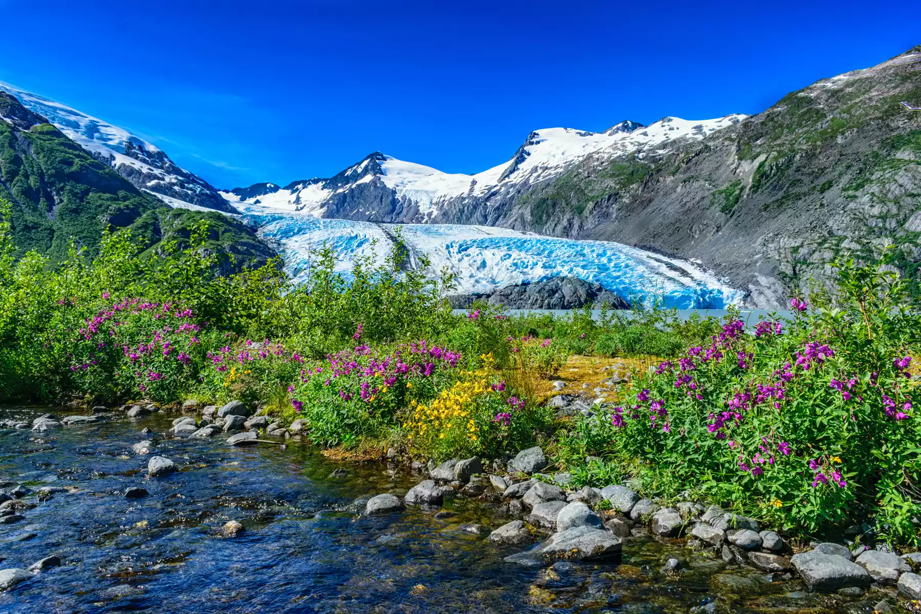 Kenai Peninsula Alaska | Tours and Remote Lodges Kenai Peninsula Alaska | Tours and Remote Lodges
