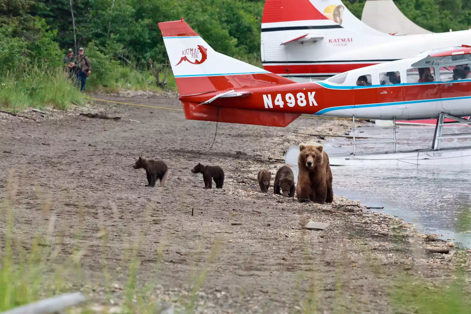 Lake Clark National Park Lake Clark National Park Bear Viewing | Alaska Vacations