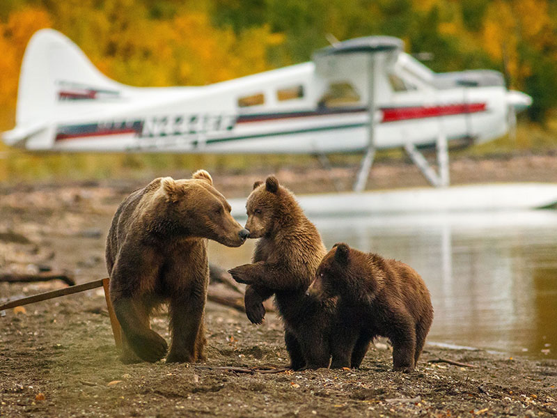 Luxury Lodges of Alaska Adventure Package 3