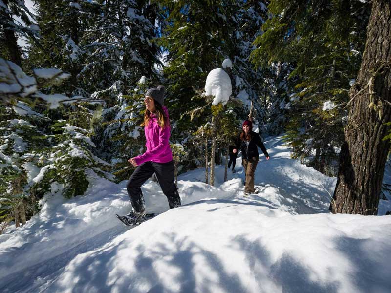 Magic of Christmas At the Fairmont Chateau Whistler 5