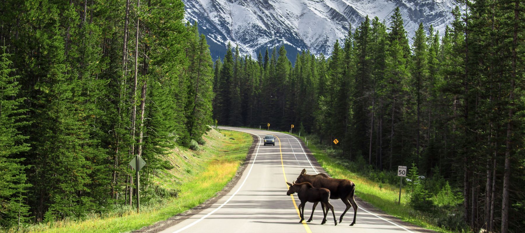 The Perfect Canadian Rockies Itinerary for Canada Road Trips