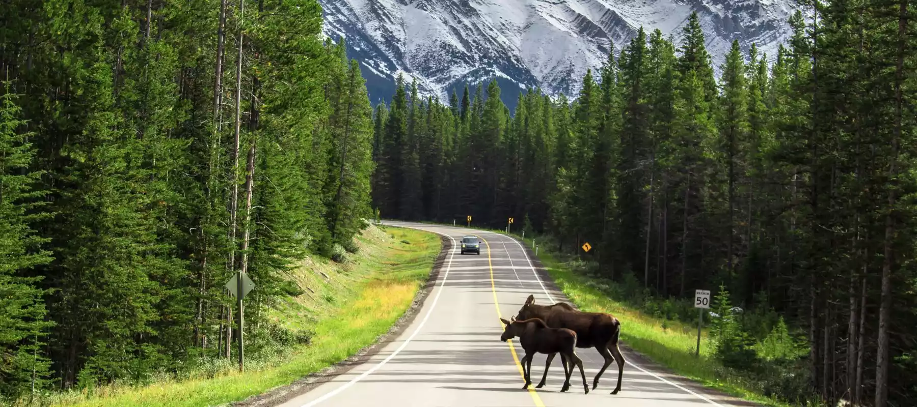 The Perfect Canadian Rockies Itinerary for Canada Road Trips The Perfect Canadian Rockies Itinerary for Canada Road Trips