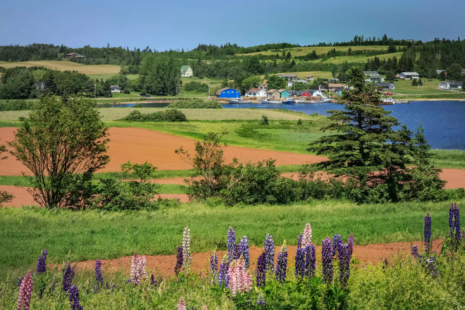 Prince Edward Island Rail Vacations Prince Edward Island Vacations Packages