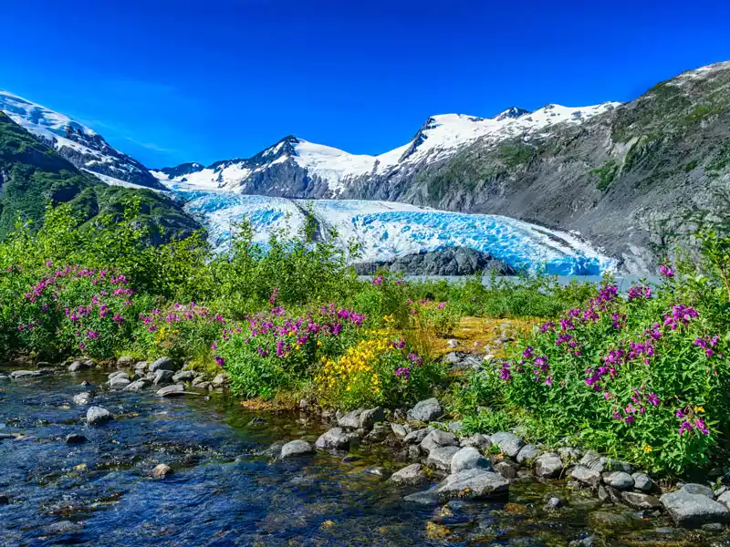Portage-Pass---Portage-Glacier---Dreamstime-100083109