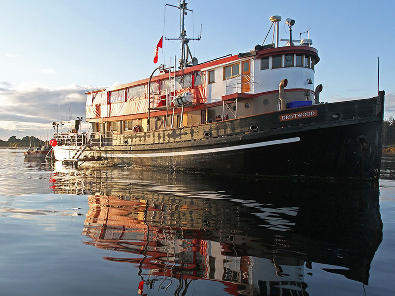 Queen Charlotte Fishing Lodge 11