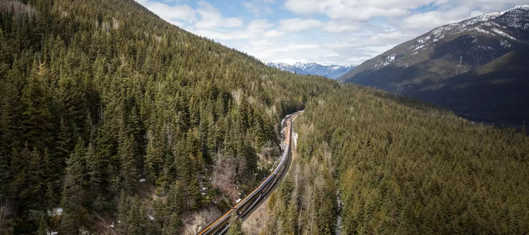 Rocky Mountaineer vs VIA Rail: Which Train Is Right for You