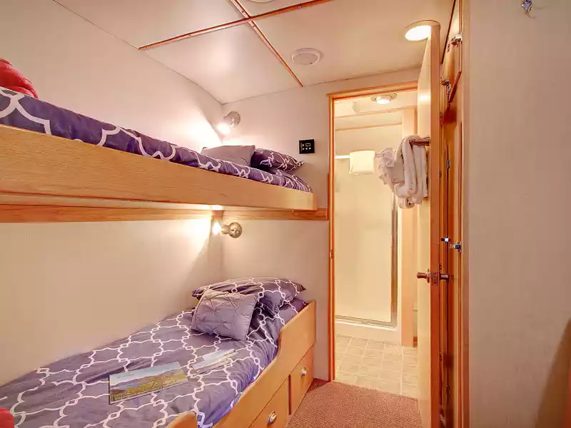 Safari Quest | Compass Cabin