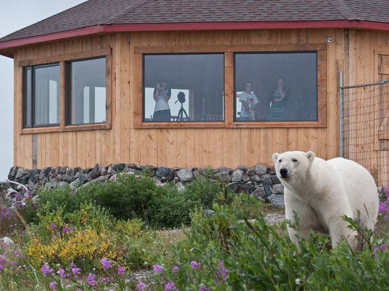 Seal River Heritage Lodge