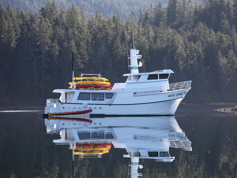 Small Ship Cruises Alaska Alaska Islands Whales Glaciers 1