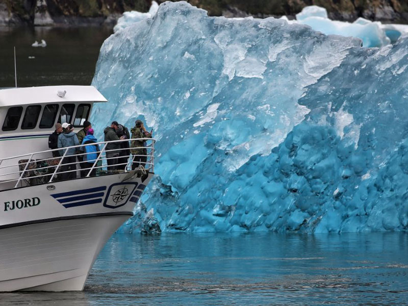 Small Ship Cruises Alaska Alaska Islands Whales Glaciers 2