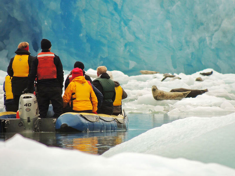 Small Ship Cruises Alaska Alaska Islands Whales Glaciers 4