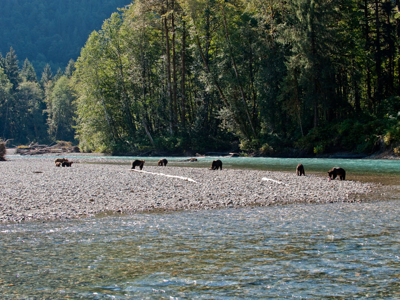 Sonora Resort Clayoquot Wilderness Lodge Luxury Lodges of the West Coast 6