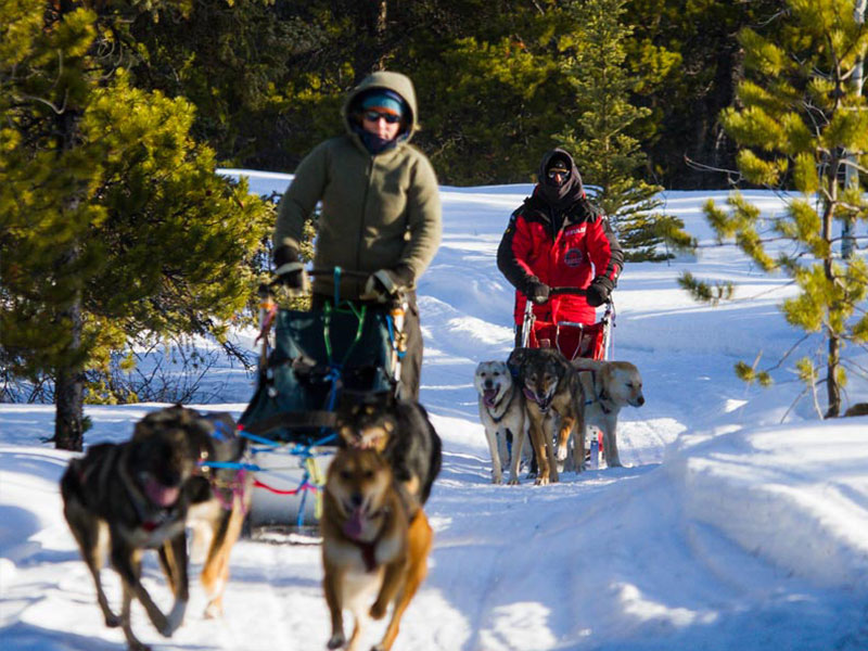 Southern Lakes Resort Yukon Northern Lights Adventure 7