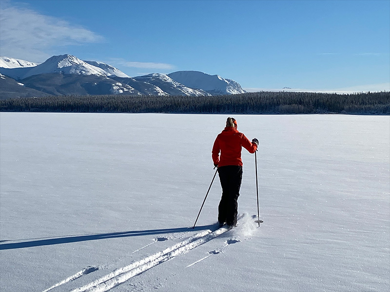 Southern Lakes Resort Yukon Northern Lights Adventure 8