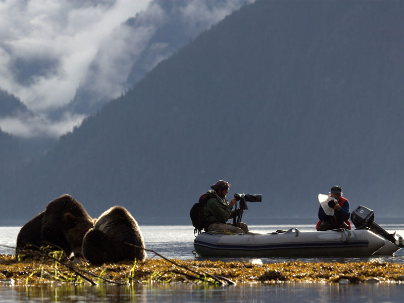 Spirit Bears of the Great Bear Rain Forest 6