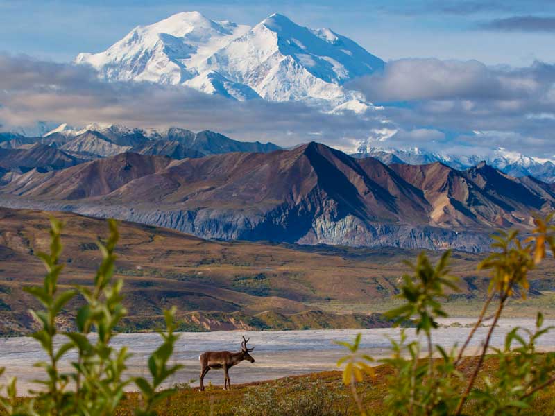 Talkeetna Denali Backcountry Cruise Connector with Alaska Rail 1