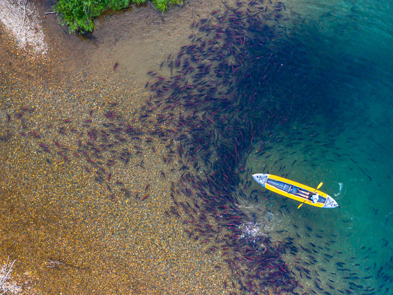 Tordrillo Mountain Heli-Fishing Retreat