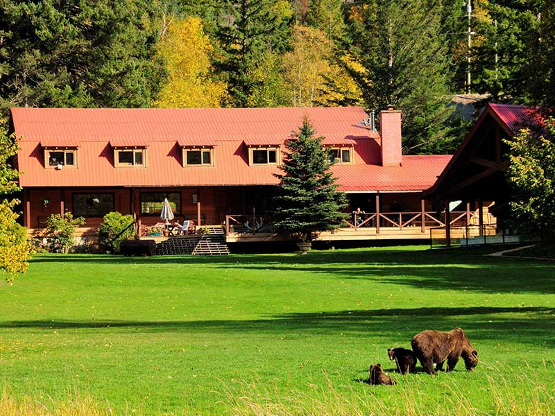 Tweedsmuir Park Lodge Grizzly Bear Safari 3