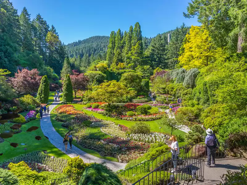 Victoria - Butchart Gardens