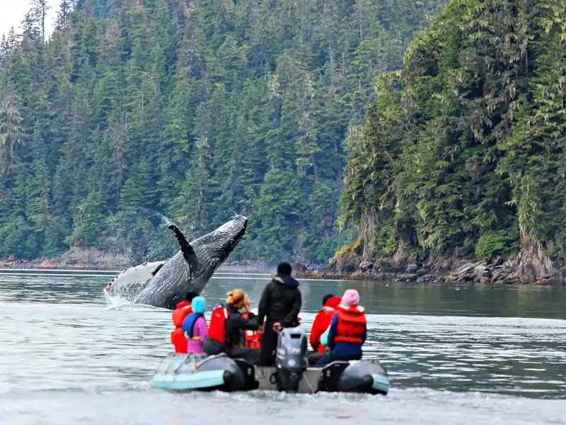 Whale-breach-with-skiff