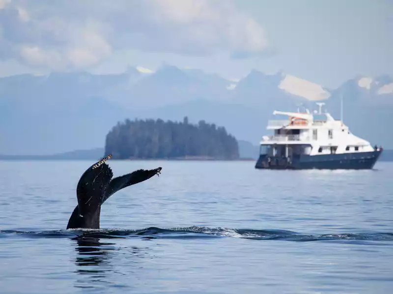 Small Ship Cruises Alaska | Alaska’s Glacier Wilderness with Glacier Bay 