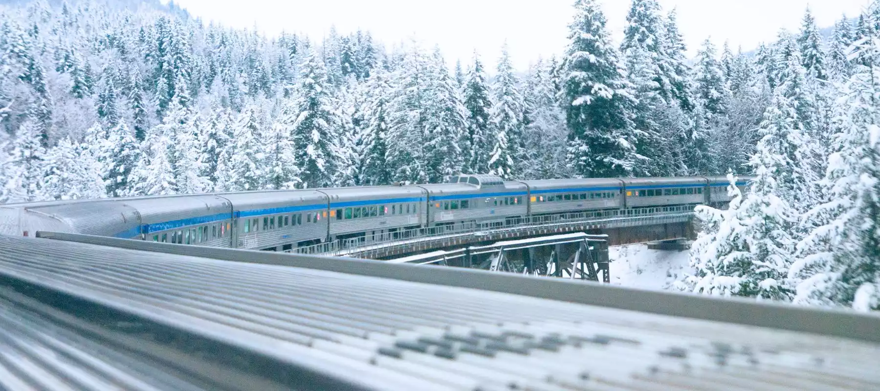 Top Winter Vacation Packages Curated by Travel Experts Top Winter Vacation Packages Curated by Travel Experts