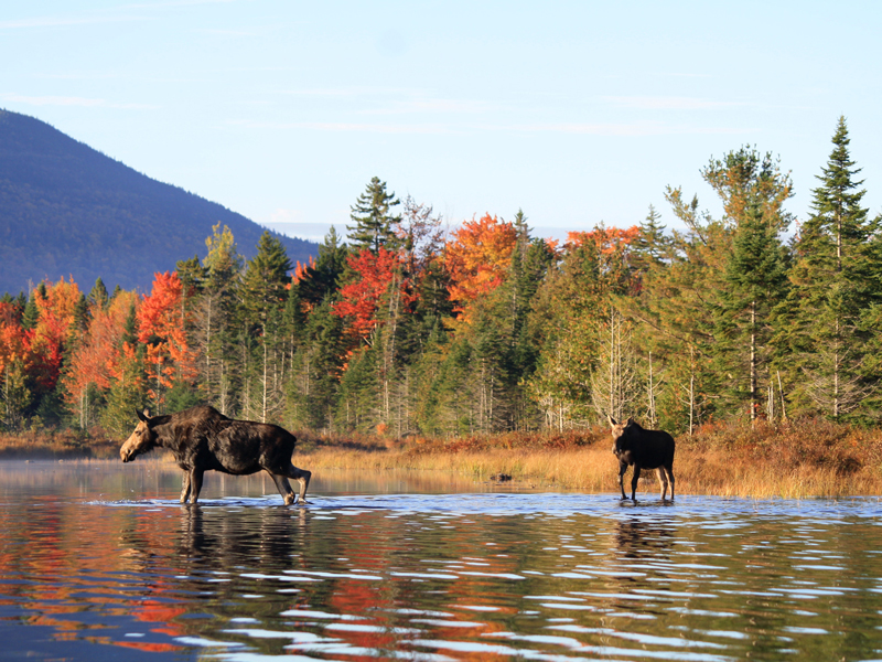 Wonders of the Maritimes Road Trip 8