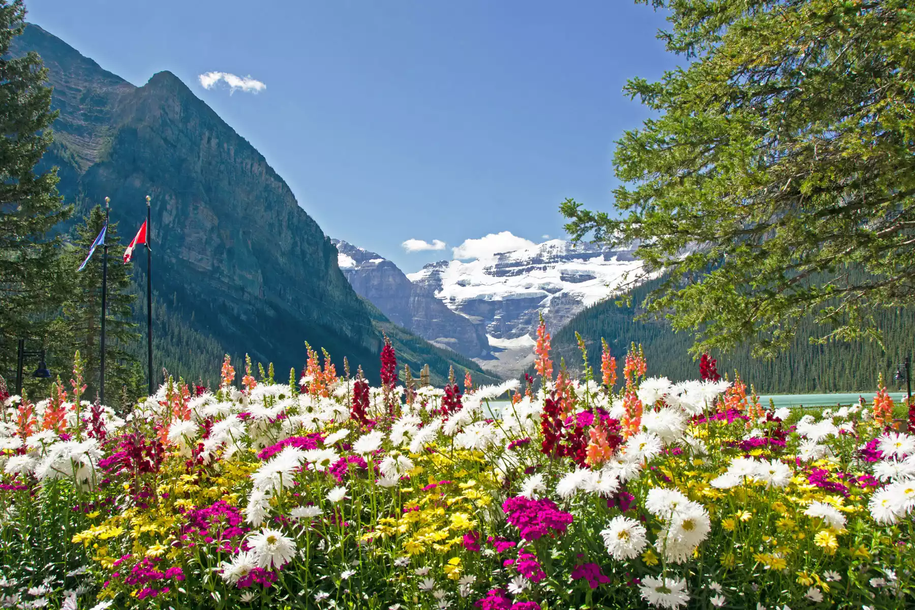 Lake Louise