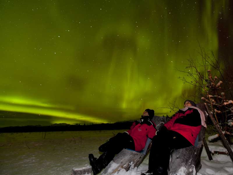 Yukon Northern Lights Tour Redefines a Night Out 5