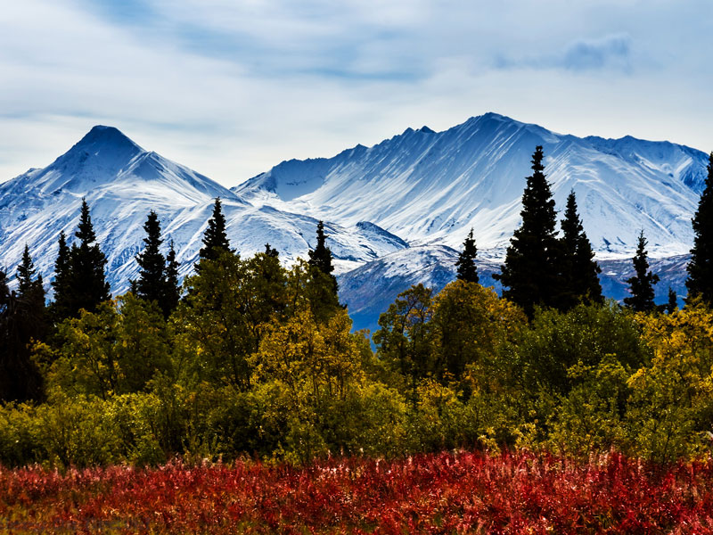 Yukon the Dempster Highway Road Trip 6