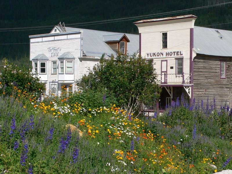 Yukon the Dempster Highway Road Trip 7