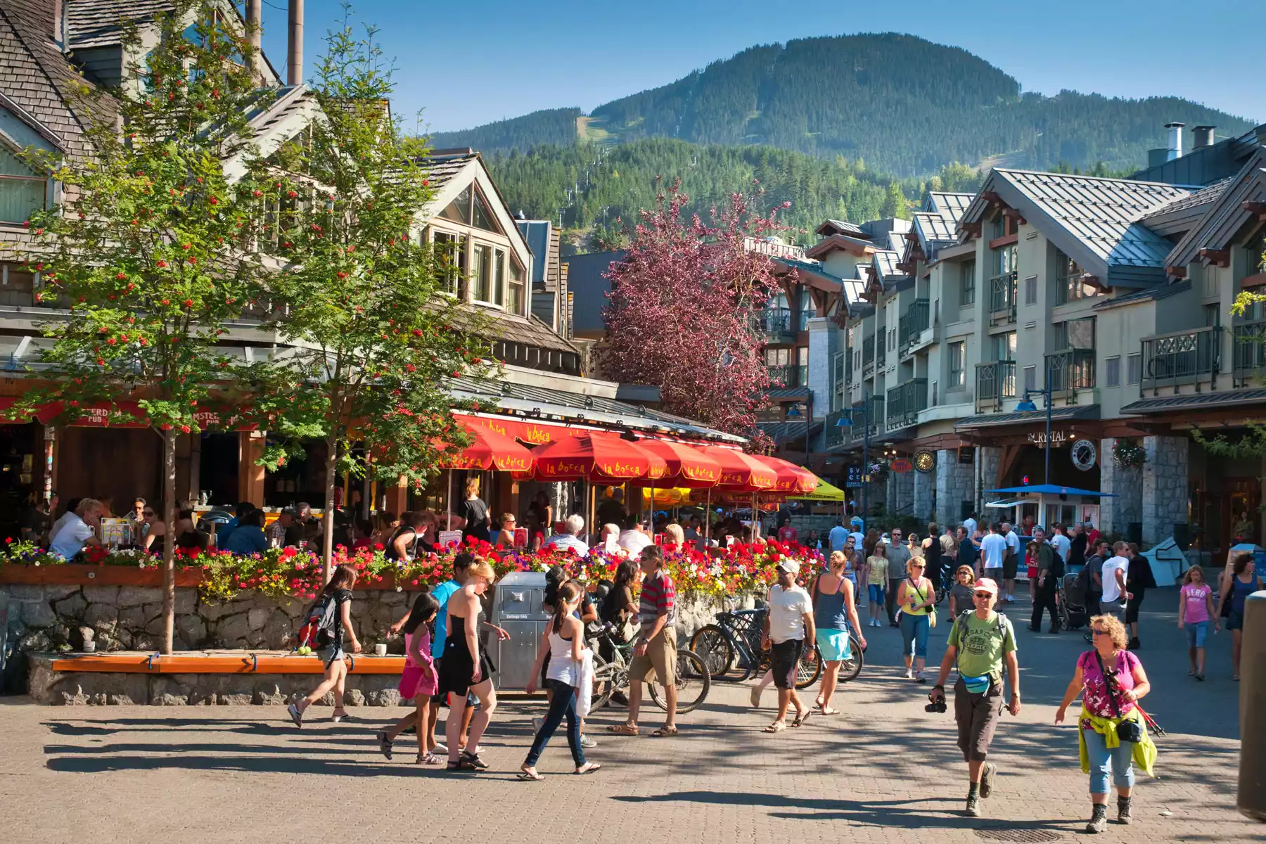 Whistler Vacation Packages Whistler Vacations Packages