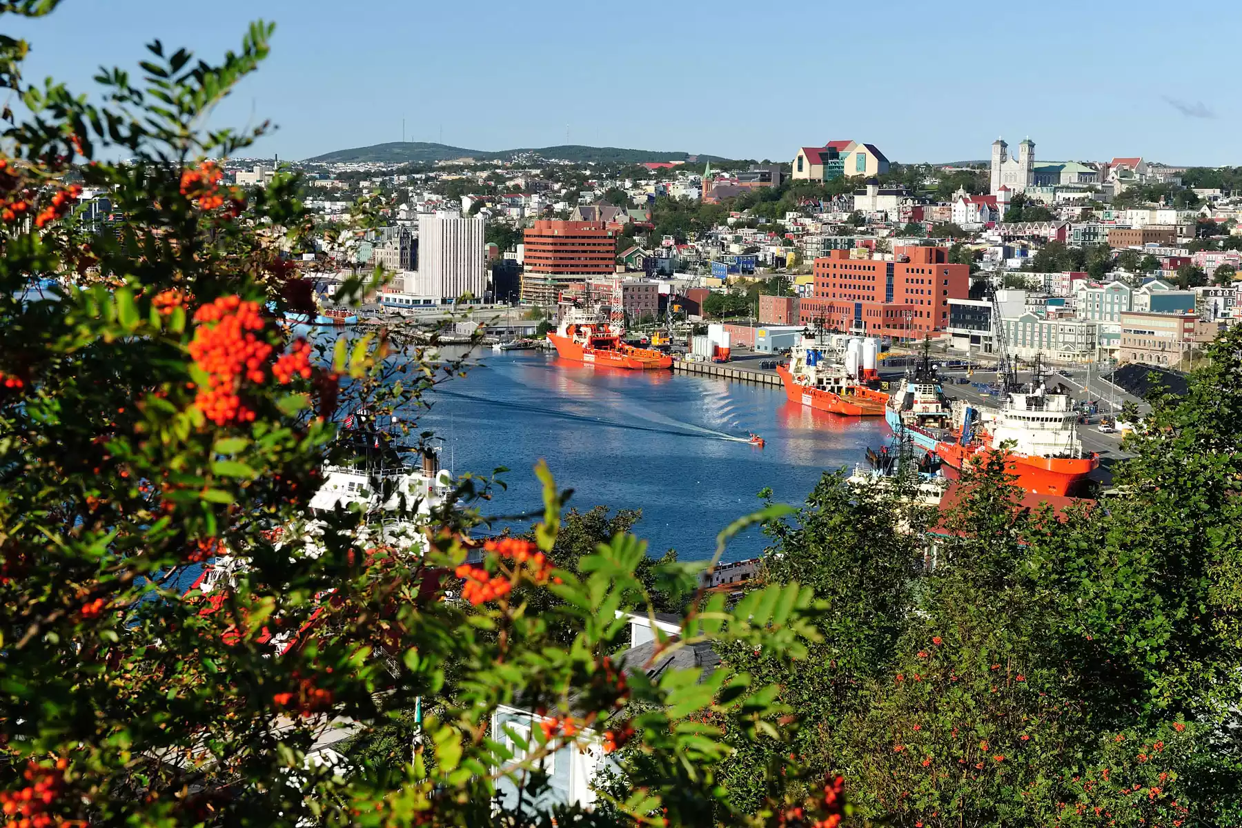 St. Johns Vacation Packages St. Johns Newfoundland Road Trip Vacations